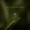 Relaxing Blossom album lyrics, reviews, download