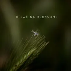Relaxing Blossom by Serena Beatty & Anandra album reviews, ratings, credits