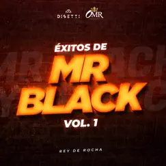 Éxitos De Mr Black Vol. 1 by Rey De Rocha & Mr Black El Presidente album reviews, ratings, credits