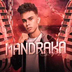 Vai Mandraka - Single by DJ Guizão album reviews, ratings, credits