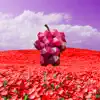 Berry Picking - Single album lyrics, reviews, download