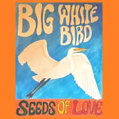 Big White Bird Song Lyrics