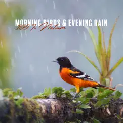 Calming Rainy Mood Song Lyrics