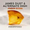 Amber Room (Extended Mix) song lyrics