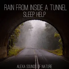 Gentle Rain from Inside a Tunnel Song Lyrics