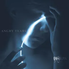 Angry Tears - Single by Danielpix album reviews, ratings, credits