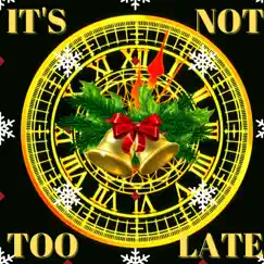 It's not too late (Christmas Jingle Bells Version) [Christmas Jingle Bells Version] - Single by Dussum album reviews, ratings, credits
