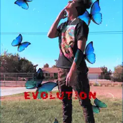 Evolution by & D4mien album reviews, ratings, credits