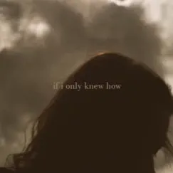If I Only Knew How - Single by Luca & Solace album reviews, ratings, credits