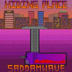 Hiding Place: Saddamwave by Wilhelm Lyons album reviews, ratings, credits