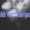 Didn't Mean to Hurt You - Single album lyrics, reviews, download