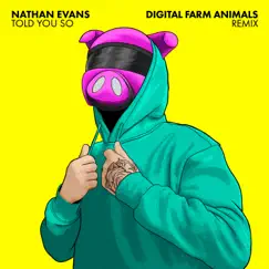 Told You So (Digital Farm Animals Remix) Song Lyrics