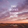 Dry Bones Come Alive (feat. Whitlee Casey) - Single album lyrics, reviews, download