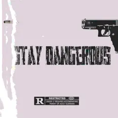 Stay Dangerous - Single by Skillzz3x album reviews, ratings, credits