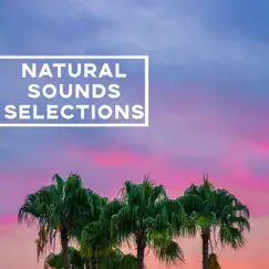 Nature Soft Touch - Single by Natural Sounds Selections album reviews, ratings, credits