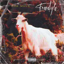 Freestyle - Single by Sha Mula album reviews, ratings, credits