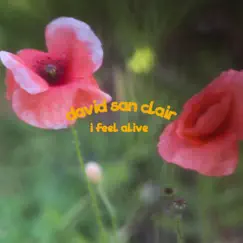 I Feel Alive - Single by David San Clair album reviews, ratings, credits