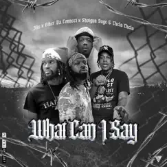 What Can I Say? (feat. Ether Da Connect, Shotgun Suge & Chelo Chelo) Song Lyrics