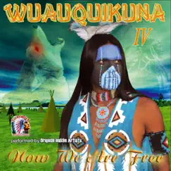 Now We Are Free by Wuauquikuna album reviews, ratings, credits