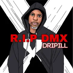 R.I.P DMX Song Lyrics