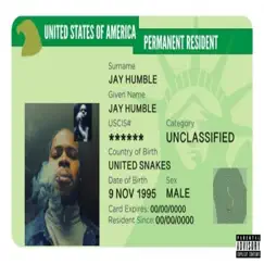 Green Card - Single by Jay Humble album reviews, ratings, credits