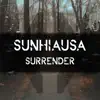 Surrender - Single album lyrics, reviews, download