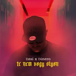 Te Nem Vagy Olyan (feat. Dinero) Song Lyrics