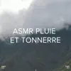 !!!" Asmr Pluie Et Tonnerre "!!! album lyrics, reviews, download