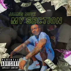 My Section - Single by James Nutz album reviews, ratings, credits