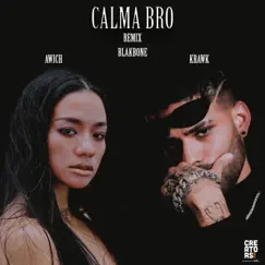 Calma Bro (Remix) Song Lyrics