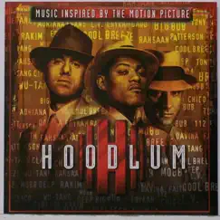 Hoodlum (feat. Rakim & Big Noyd) Song Lyrics