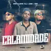 Calamidade - Single album lyrics, reviews, download