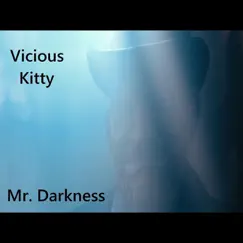 Mr Darkness Song Lyrics