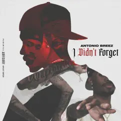 I Didn't Forget - Single by Antonio Breez album reviews, ratings, credits