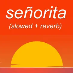 Señorita (Slowed + Reverb) [Slowed + Reverb] - Single by Z e r o t o n i n album reviews, ratings, credits