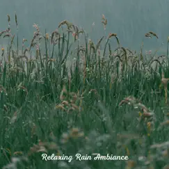 Relaxing Rain Ambiance - EP by Naturalis, Rain Sounds & Storm Noise album reviews, ratings, credits