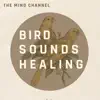 Bird Sounds Healing - EP album lyrics, reviews, download