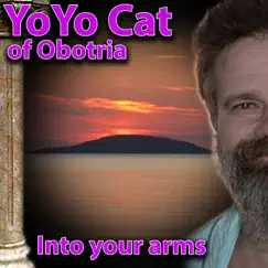 Into Your Arms - Single by YoYo Cat album reviews, ratings, credits