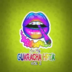 Guarachita Pa Los Pasos Prohibidos Song Lyrics