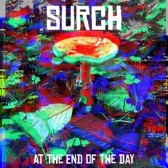 At the End of the Day by Surch album reviews, ratings, credits