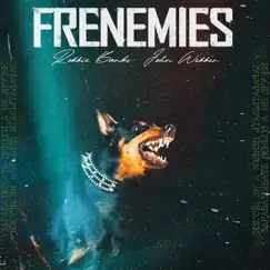 Frenemies Song Lyrics