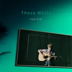 These Walls - Single by SAM KIM album reviews, ratings, credits