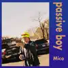 Passive Boy (feat. Aaliyah Nicole) - Single album lyrics, reviews, download