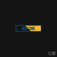 New Ting (feat. Warren-D) Song Lyrics