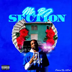 Section - Single by Mr.Bj album reviews, ratings, credits