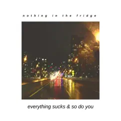 Everything Sucks and So Do You - Single by Nothing in the Fridge album reviews, ratings, credits