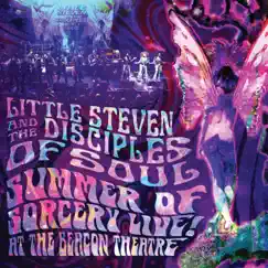 Summer Of Sorcery Live! At The Beacon Theatre (feat. Little Steven & The Disciples of Soul) by Little Steven album reviews, ratings, credits