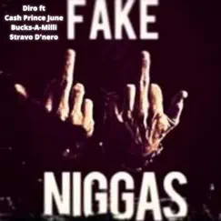 Fake N****s (feat. Cash Prince June, Stravo Dnero, Bucks a Milli & Diro) Song Lyrics