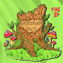 Promises - Single by Evergreen Aus album reviews, ratings, credits