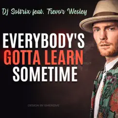 Everybody's Gotta Learn Sometime - Single by DJ Soltrix & Trevor Wesley album reviews, ratings, credits